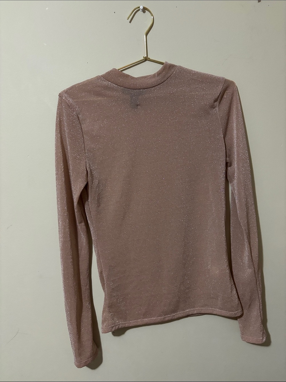 Sparkle Long-Sleeve Mock Neck See Through Top - Dusty Rose